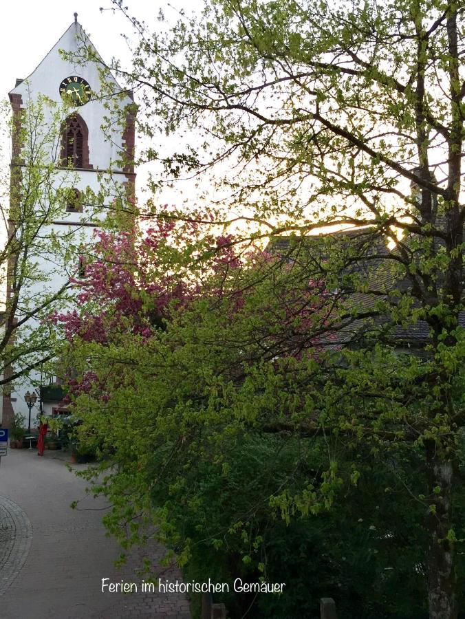 Appartment Entegast - Edles Landhausflair Zum Geniessen 肖普海姆 外观 照片
